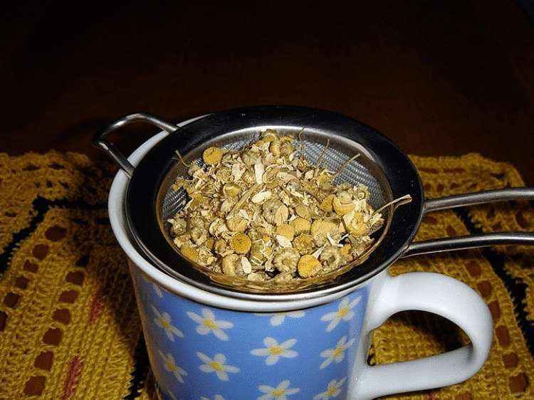 Польза ромашкового чая: 20 свойств, которые заставят вас обратить внимание на этот напиток
