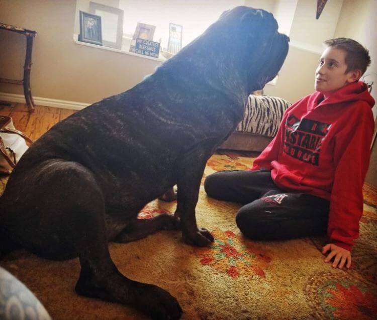 Мужчина вырастил самого огромного щенка в мире!
