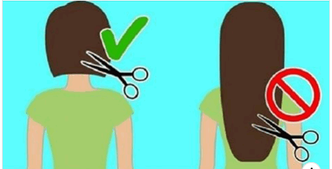 Правильный уход за волосами: 9 привычек, о которых должна знать каждая женщина