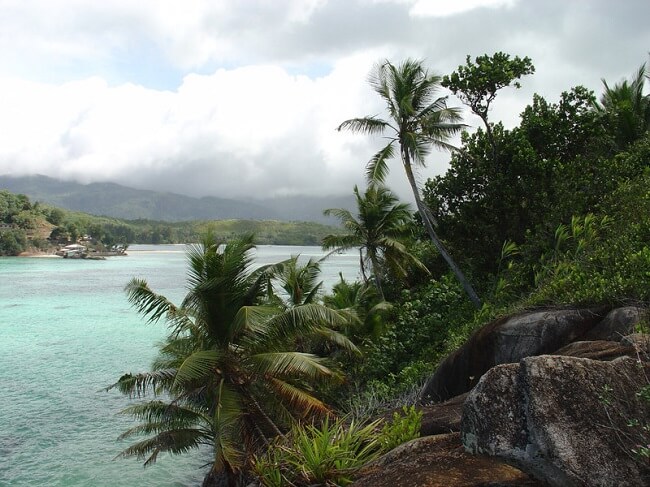 Мужчина Купил Себе Необитаемый Остров За $13,000 И Построил Там Маленький Рай