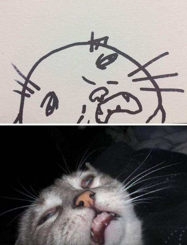 Когда ваш учитель говорит, что вы не умеете рисовать кошек, но вы с этим не согласны