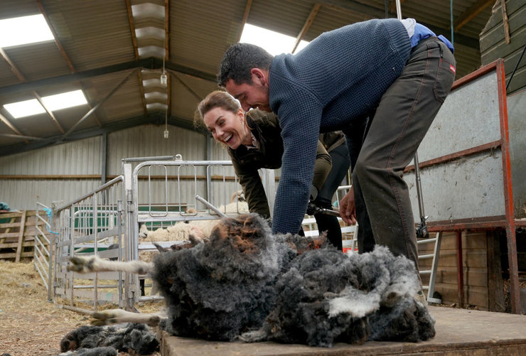 Кейт Миддлтон с улыбкой показала, как нужно стричь овец