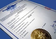 Апостиль документов: когда и почему он нужен, как оформить и получить