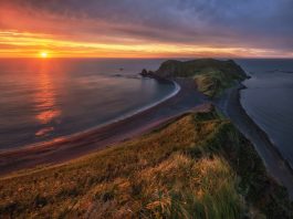 Преимущества и причины популярности услуг доставки питьевой вода на дом или в офис