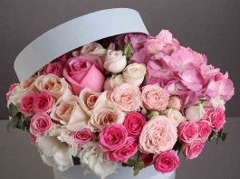 Традиционные цветы или стильная цветочная коробка — что выбрать в подарок любимому человеку?