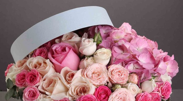 Традиционные цветы или стильная цветочная коробка — что выбрать в подарок любимому человеку?