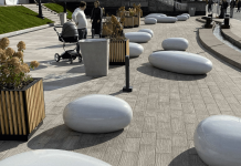 Из каких деревьев делают пиломатериалы?