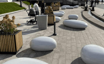 Из каких деревьев делают пиломатериалы?