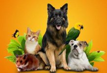 Как выбрать хороший зоомагазин?