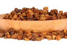 Что такое перга пчелиная?