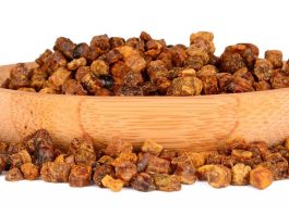 Что такое перга пчелиная?