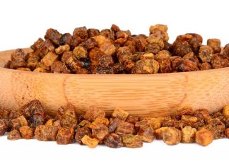 Что такое перга пчелиная?