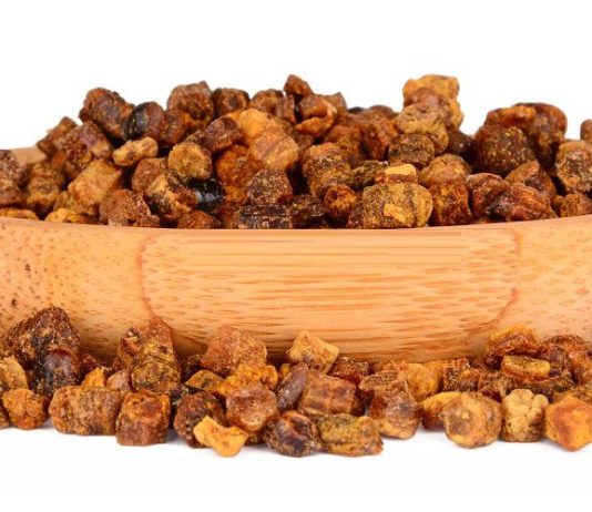 Что такое перга пчелиная?