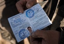 Получение прав на управление маломерным судном: особенности и советы