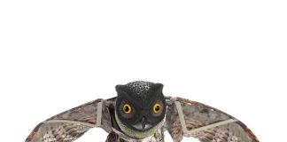 Топ 5 лучших организаций по продаже отпугивателя для птиц