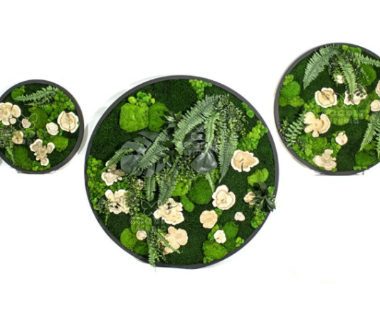 Что такое независимая оценочная компания? Описание основной деятельности