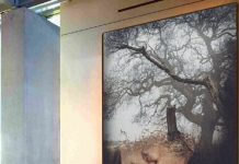 Авторская картина: вложение в искусство или просто красивое украшение?