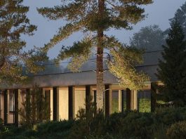 Скандинавский сад: лаконичность природы в вашем дворе