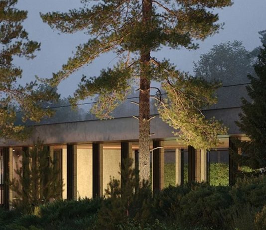 Скандинавский сад: лаконичность природы в вашем дворе