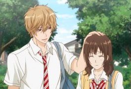 Ложь, любовь и школьная драма: анализ аниме «Волчица и чёрный принц»