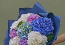 Гортензии от AzaliaNow: букеты, которые говорят за вас
