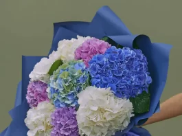 Гортензии от AzaliaNow: букеты, которые говорят за вас
