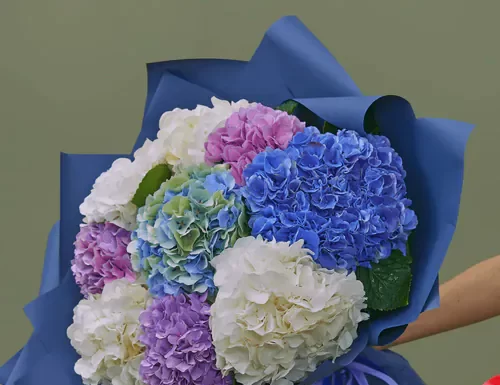 Гортензии от AzaliaNow: букеты, которые говорят за вас