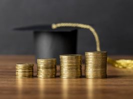 Кем работать после экономического образования: востребованные профессии и карьерные перспективы