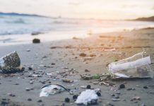 Научно-техническая конференция 1990 года по экологическим проблемам