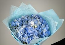 Что делать с букетом после праздника: 5 креативных идей