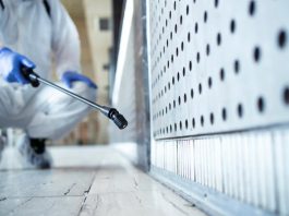 Эффективная обработка от тараканов: как избавиться от вредителей и вернуть комфорт в дом