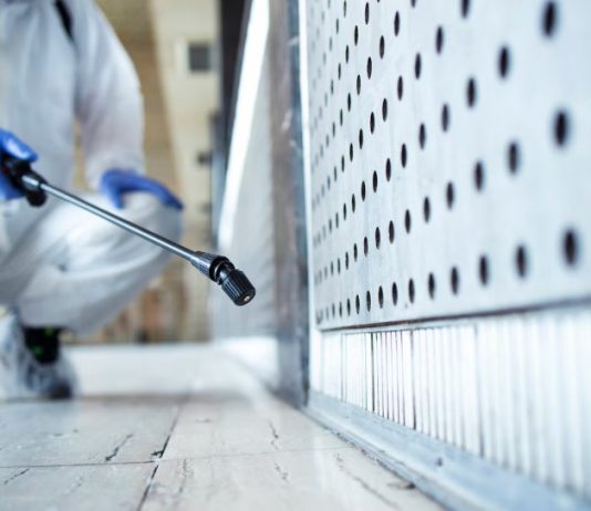 Эффективная обработка от тараканов: как избавиться от вредителей и вернуть комфорт в дом