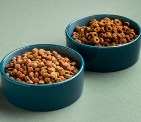 Что важно знать о сухом корме для кошек: выбираем с умом и заботой