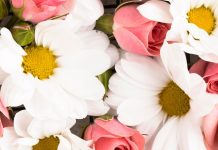 Доставка цветов: удобный способ порадовать близких