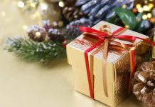 Новогодний подарок с пользой для ребёнка: конструкторы для детей от 5 лет