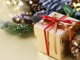 Новогодний подарок с пользой для ребёнка: конструкторы для детей от 5 лет