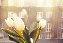 Цветы в ритме мегаполиса: Как организовать сюрприз между совещаниями