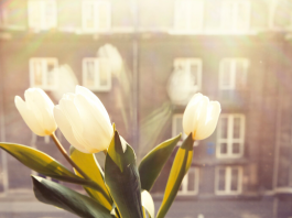 Цветы в ритме мегаполиса: Как организовать сюрприз между совещаниями