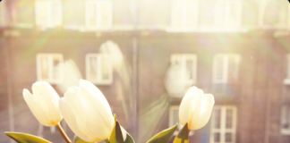 Цветы в ритме мегаполиса: Как организовать сюрприз между совещаниями