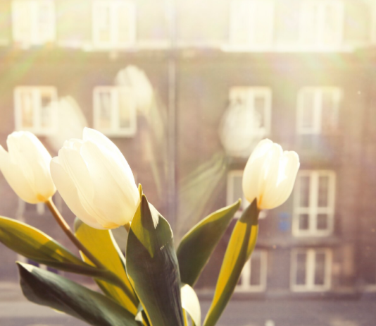 Цветы в ритме мегаполиса: Как организовать сюрприз между совещаниями