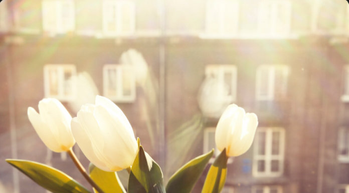 Цветы в ритме мегаполиса: Как организовать сюрприз между совещаниями