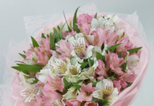 Доставка цветов в Пензе: как устроен сервис и обзор подхода BloomBox