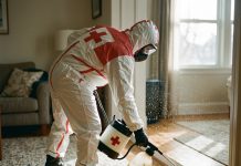 Дезинсекция блох: какие преимущества дает обработка помещения Дезинсекция блох: какие преимущества дает обработка помещения